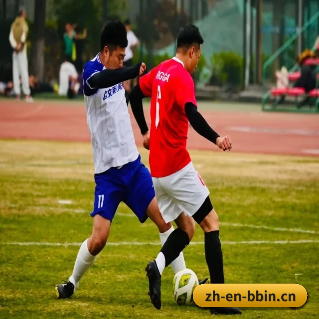 bbin体育 APP